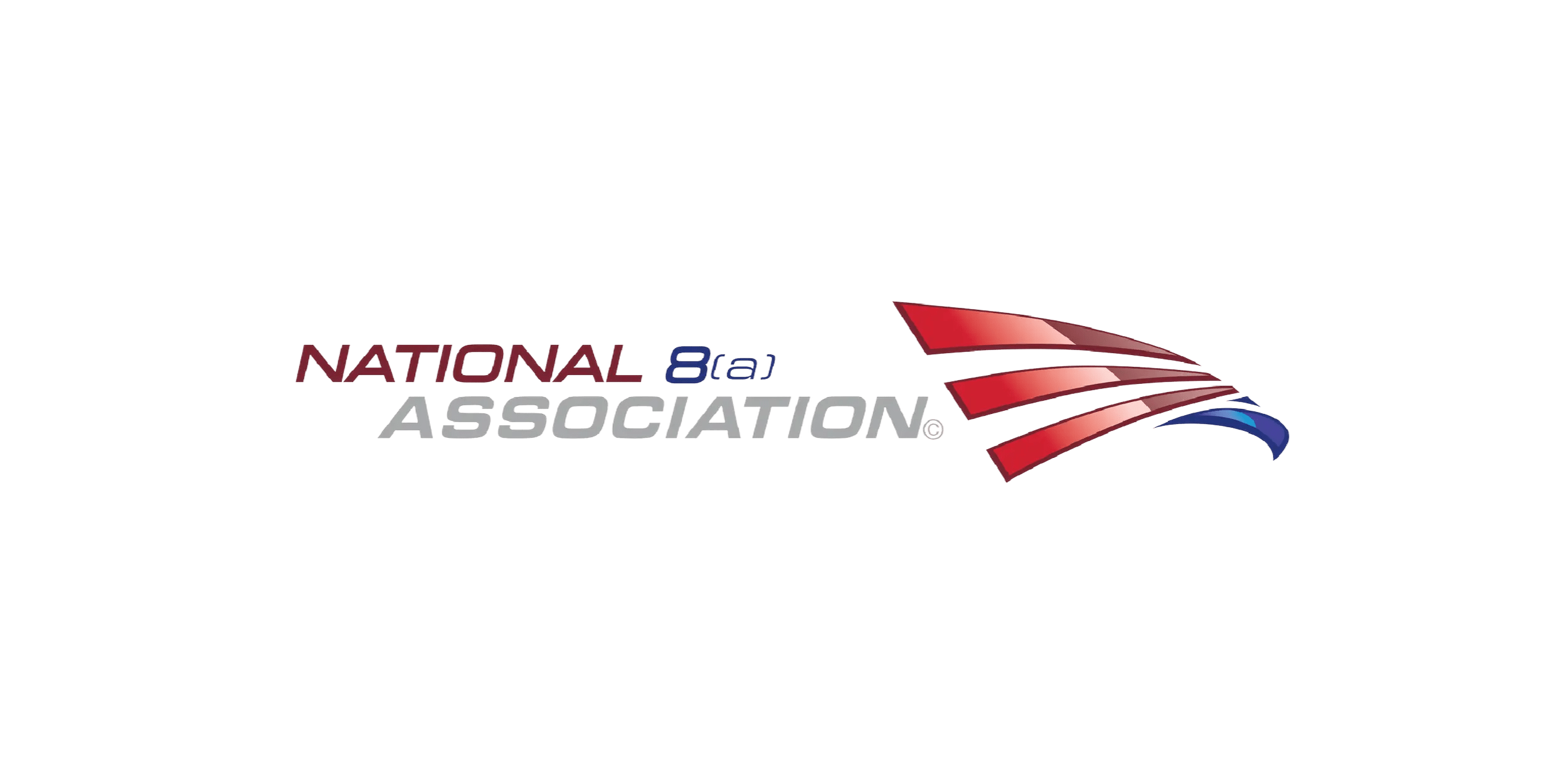 National 8(a) Association logo